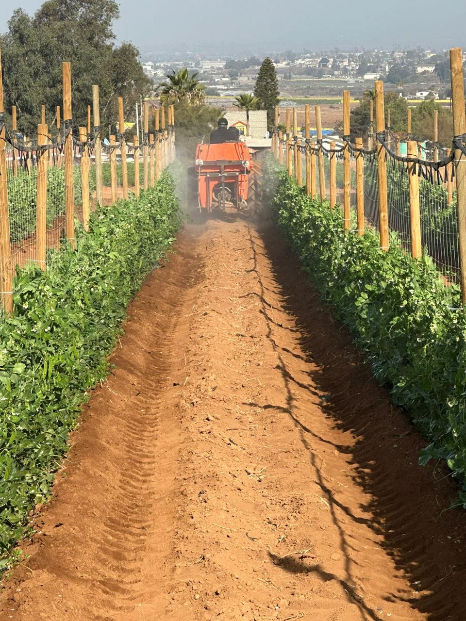 Historia de Agrícola Miramar